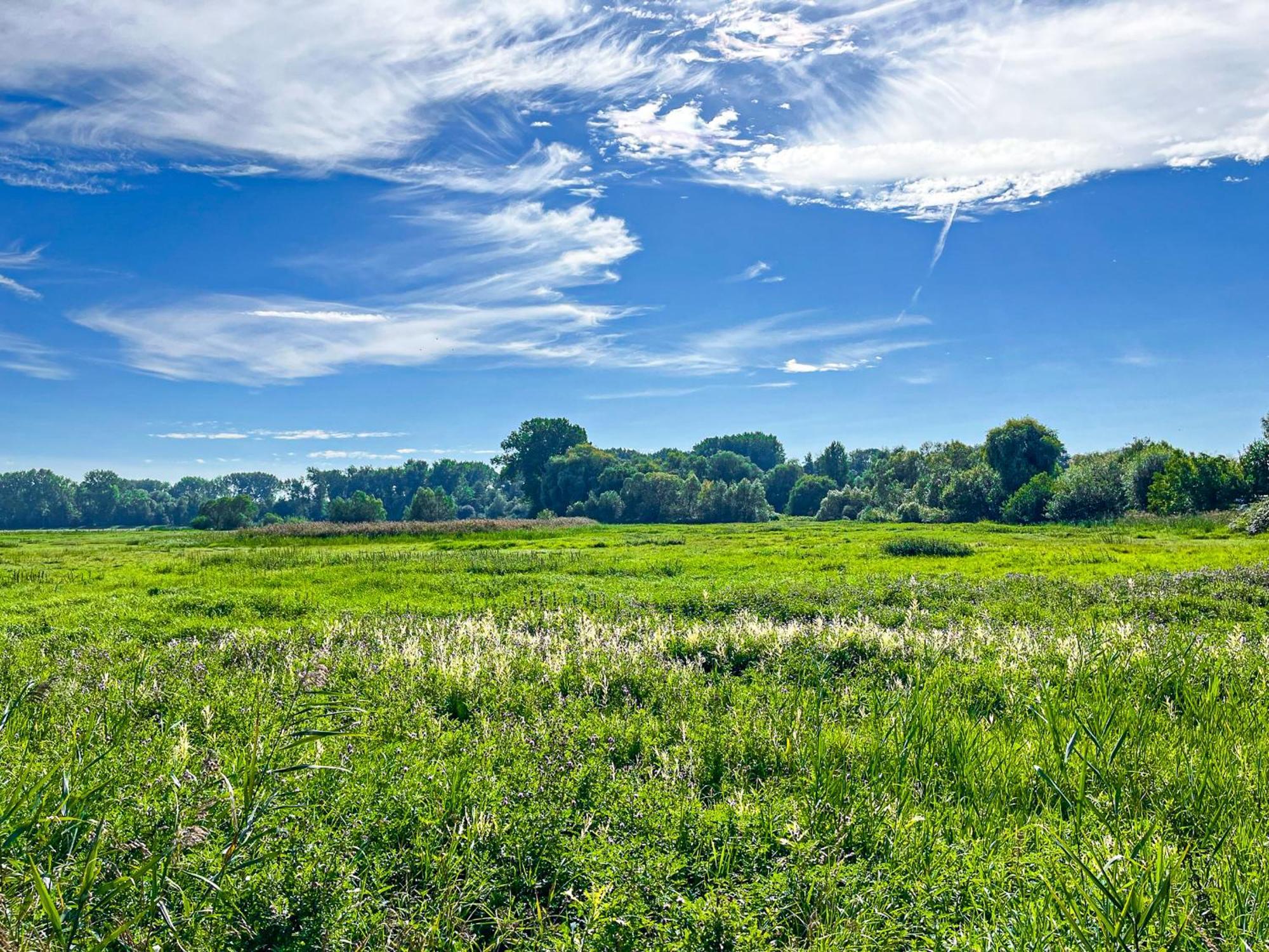 Haffblick Wohnung 60 Boltenhagen  Bagian luar foto